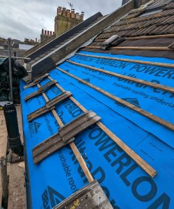 PXL_20230131_121217423