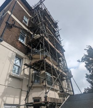 PXL_20230918_115635492