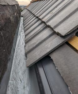 PXL_20231016_140953969