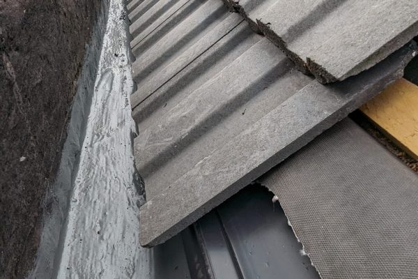 PXL_20231016_140953969